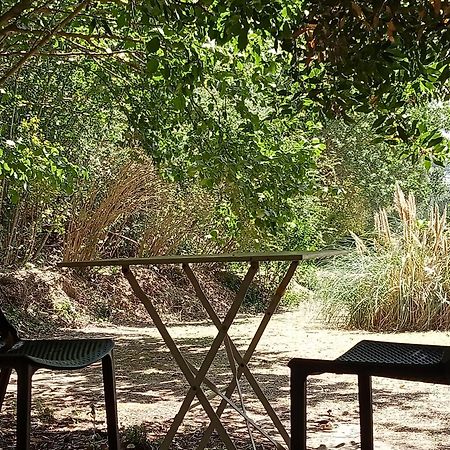 Les Restanques - Chambre D'Hotes Cuges-les-Pins Luaran gambar