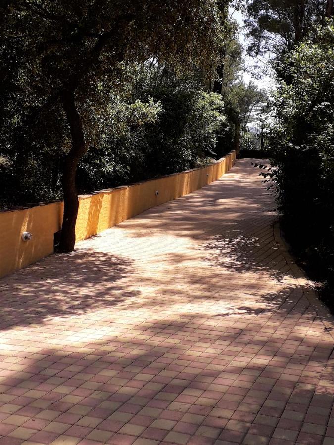 Les Restanques - Chambre D'Hotes Cuges-les-Pins Luaran gambar